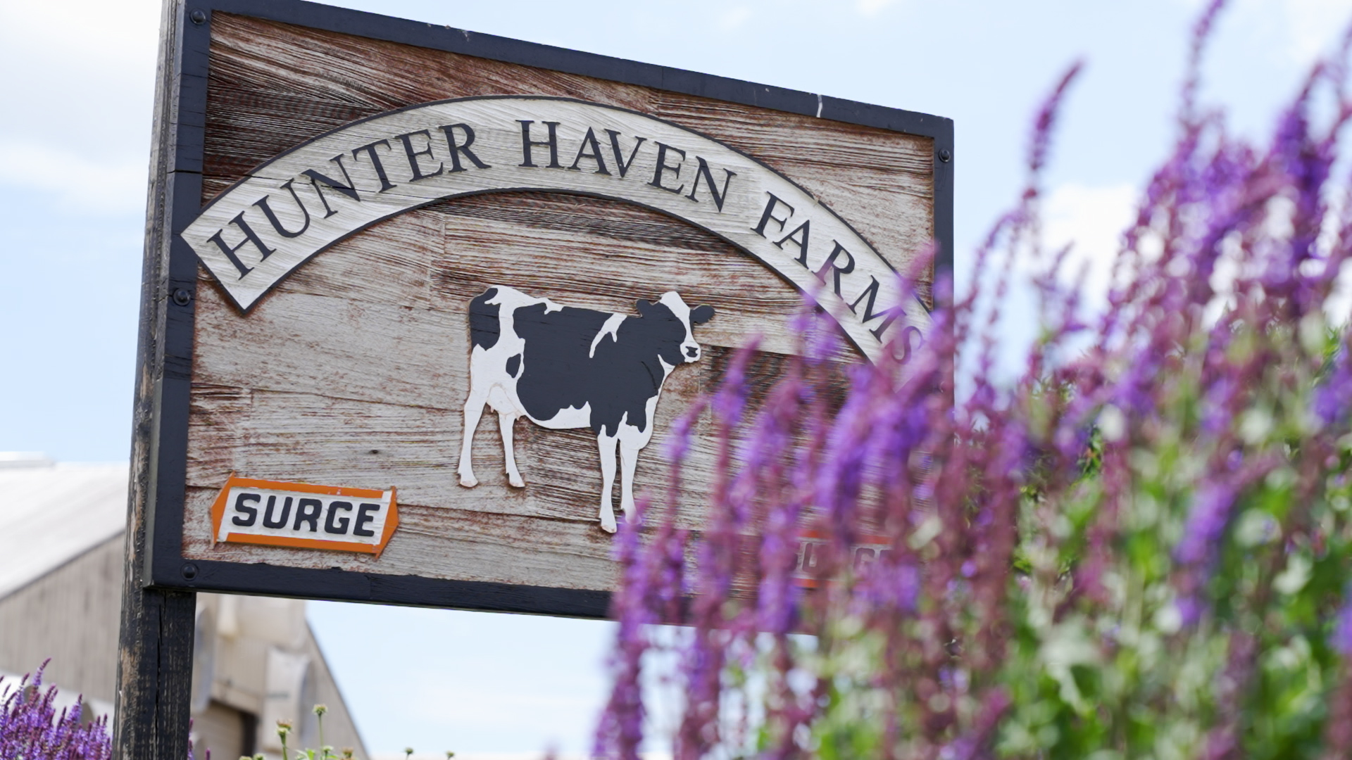 Hunter Haven Farms Showcased During Dairy Technology Tour | Dairy Herd